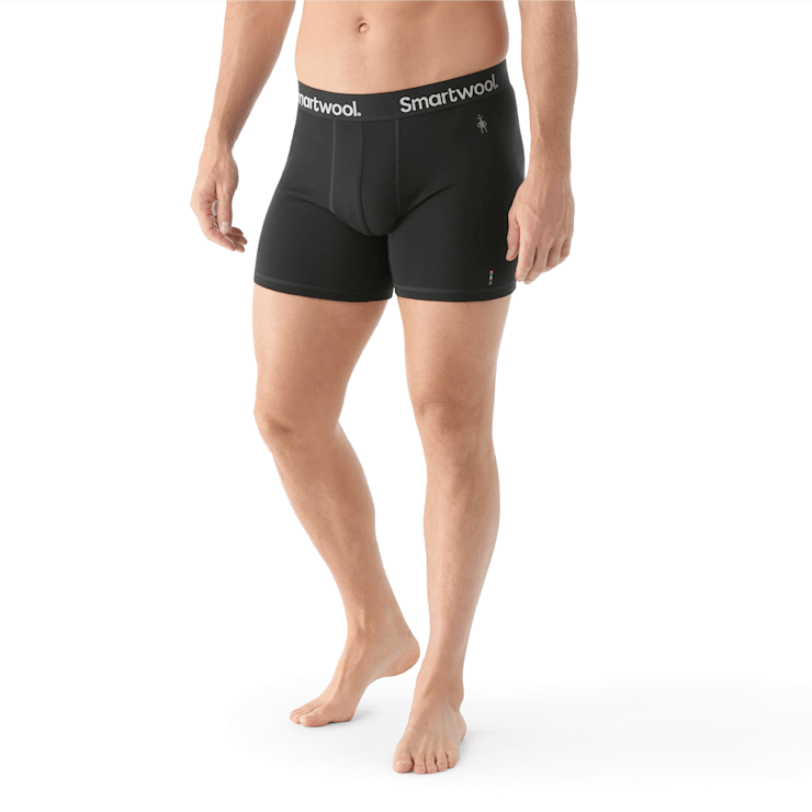 Smartwool Everday Merino Boxer Brief Men's