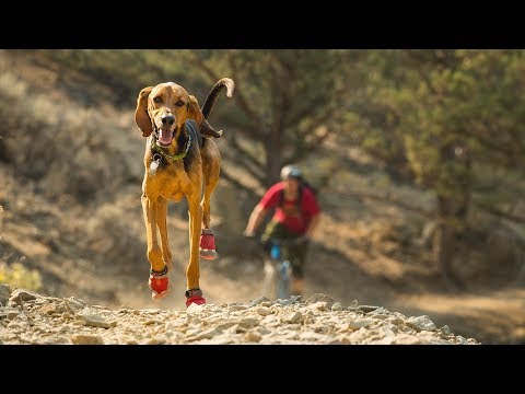 Ruffwear Grip Trex Dog Boots Backpacking Light Australia